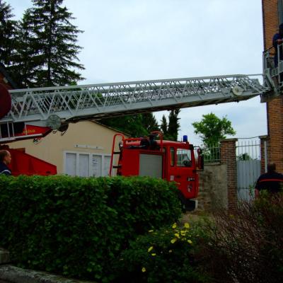 nid de guèpes à la mairie 3.06.10