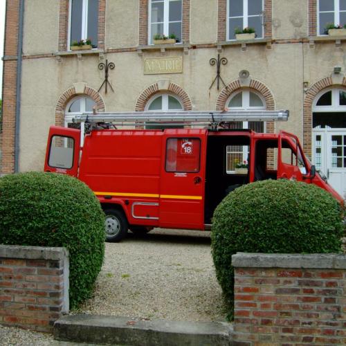 2010-nid de guêpes  (2)