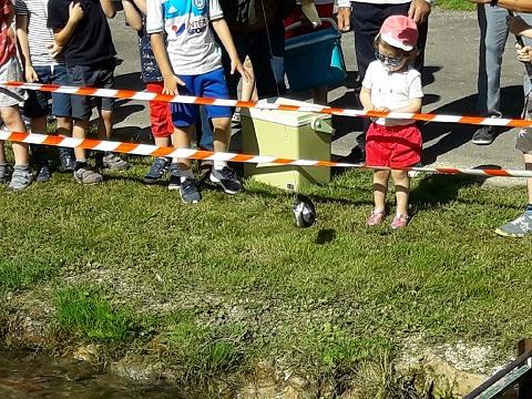 Resized 20180603 101349 6730